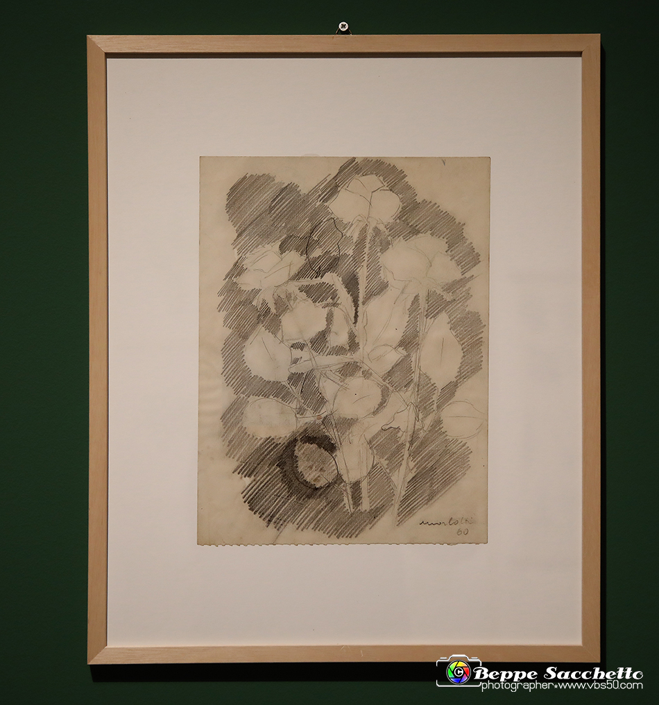 VBS_1312 - Castello di Miradolo - Mostra Oltre il giardino l'Abbecedario di paolo Pejrone.jpg